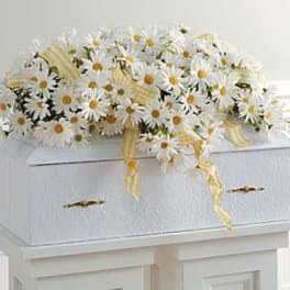 White daisy arrangement on a white casket with yellow ribbon