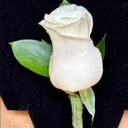White rose boutonniere with green leaves on a black background