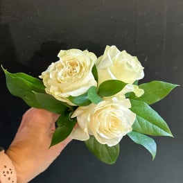 Three cream roses with green leaves held in a hand