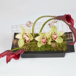 Modern floral arrangement with orchids and burgundy calla lilies in a black container