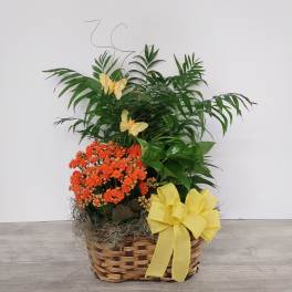 Triple Plant Basket