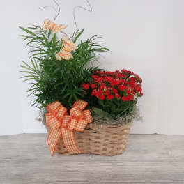 Basket planter with red flowering plant, leafy green plant, orange bows, and decorative butterflies