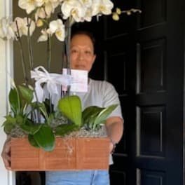 Tall white orchid planter in a wooden box held by a person standing in a doorway