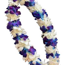 Lei - Double Blue/White Combo