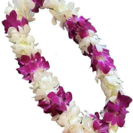 Lei - Double Purple/White Combo