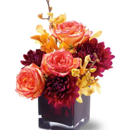 Teleflora's Burgundy Bliss