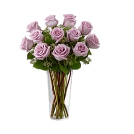 Classic Lavender Roses