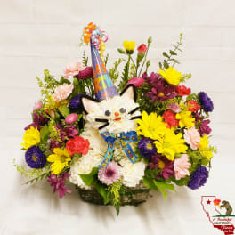 Meow Meow Happy Birthday Kitty - Fresh Fun Birthday Flowers