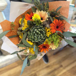 Hand-tied bouquet with a central green succulent and orange and yellow gerbera daisies in orange wrap