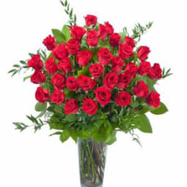 Three Dozen (36) Premium Red "Room Full of Roses" Arrangement