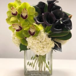 Green orchids, dark calla lilies, and white hydrangeas in a clear glass cube vase