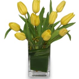 Yellow tulips arranged in a clear glass vase