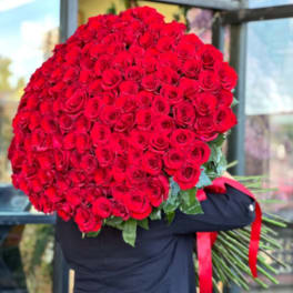 Large bouquet of red roses wrapped in dark paper with a red ribbon