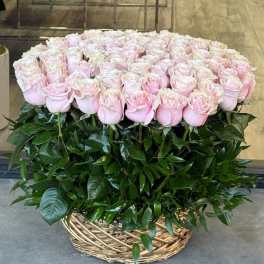 Large basket of pale pink roses with dense greenery