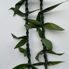 Ti leaf single lei