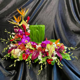 Tropical floral arrangement with orchids and bird-of-paradise on a black drape