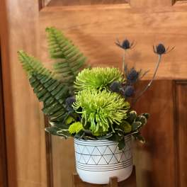 Green chrysanthemum arrangement in a patterned white pot
