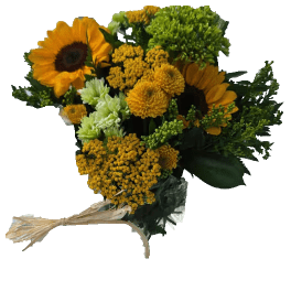 Bouquet of yellow flowers with sunflowers and green mums tied with a ribbon