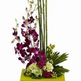 Modern arrangement with purple orchids, green blooms, and bamboo in a square lime-green dish