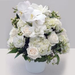 White roses and orchids arranged in a white vase