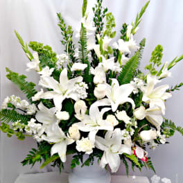 Morning Stars Arrangement