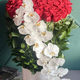 Heart-shaped red rose arrangement with cascading white orchids in a white vase