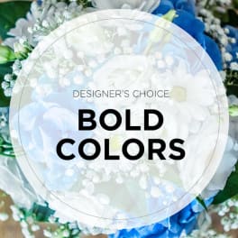 Designer's Choice - Bold Colors
