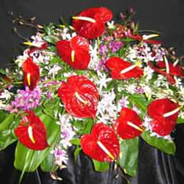 Bouquet of red anthuriums with small white and purple flowers