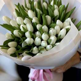 Bouquet of white tulips wrapped in white paper with a pink ribbon