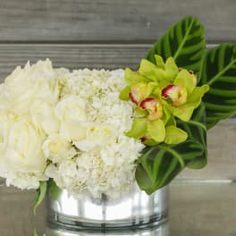 White roses and hydrangeas with green orchids in a silver vase
