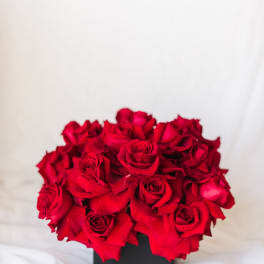 Red rose bouquet in a black box