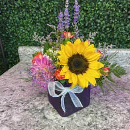 Sunflower arrangement in a purple box with a light blue ribbon