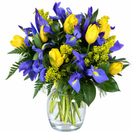 Yellow tulips and blue irises in a clear glass vase