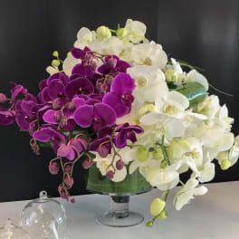 Purple and white orchid arrangement in a glass vase