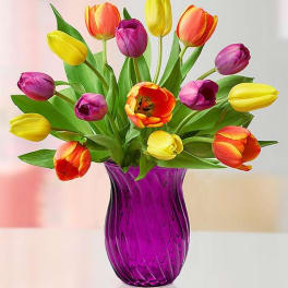 Colorful tulips arranged in a purple glass vase