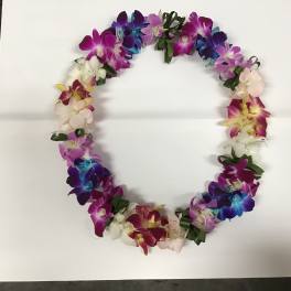 Colorful orchid lei arranged in a circle on a white background
