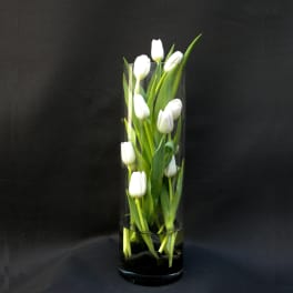 White tulips arranged in a tall clear glass vase