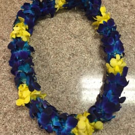 A blue and yellow flower lei laid in a circle on a countertop.