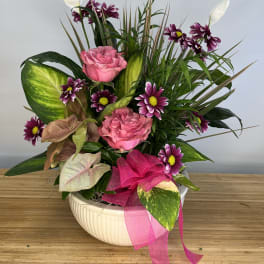 Pink roses and purple daisies in a white bowl vase with ribbon