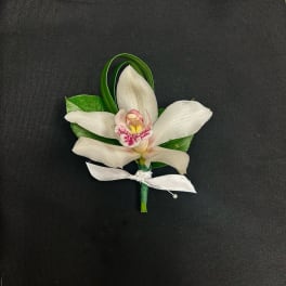White orchid boutonniere with a satin ribbon on a dark background