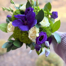 Compact bouquet of purple orchid and lisianthus with cream roses and green hydrangea, held in a hand.