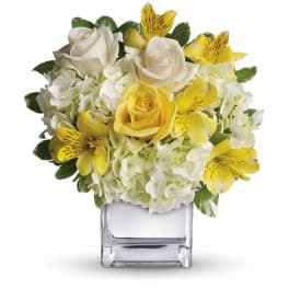 Compact arrangement of yellow and white roses, alstroemeria, and hydrangeas in a clear glass cube vase