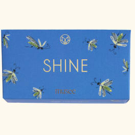 Blue gift box with butterfly illustrations and the word SHINE