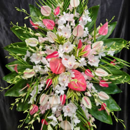 Large tropical floral spray with pink and white blooms on a dark background
