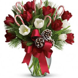 Red and white tulips with candy canes in a glass vase