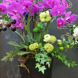 Tall arrangement of purple orchids in a black vase with green accents