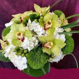 Green orchids and white hydrangeas in a vase