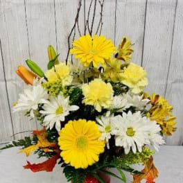 Yellow and white daisy bouquet in a red-orange vase