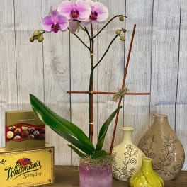 Pink orchid arrangement in a purple pot with gift boxes and decorative vases