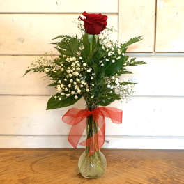 Single red rose in a glass vase with baby's breath and a red ribbon